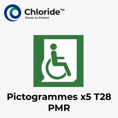 Lot de 5 pictogrammes T28 (PMR) Chloride