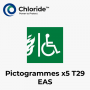 Lot de 5 pictogrammes T29 (EAS) Chloride