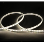 Bobine LED 2835 de chantier avec alimentation 50 mètres 8W 4000K IP65 MIIDEX LIGHTING