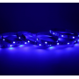 Ruban LED RGB + blanc 5 mètres 60LED 9W 24V IP20 MIIDEX LIGHTING