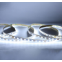 Ruban LED blanc 5 mètres 60LED 9W 6000K 24V IP54 MIIDEX LIGHTING