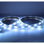 Ruban LED RGB + blanc 5 mètres 60LED 9W 24V IP67 MIIDEX LIGHTING