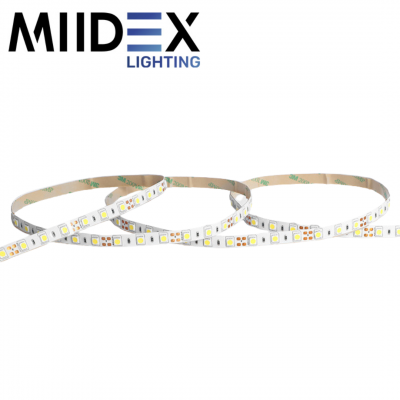 Ruban LED blanc 5 mètres 120LED 10W 3000K 24V IP54 MIIDEX LIGHTING