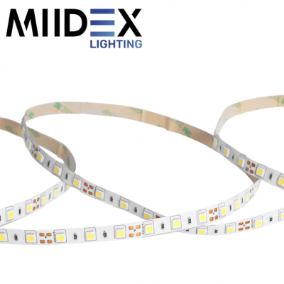 Ruban LED blanc 5 mètres 120LED 10W 4000K 24V IP54 MIIDEX LIGHTING