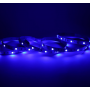Ruban LED RGB + blanc 4000K 5 mètres 60LED 13W 24V IP20 MIIDEX LIGHTING