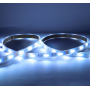 Ruban LED RGB + blanc 4000K 5 mètres 60LED 10W 24V IP67 MIIDEX LIGHTING