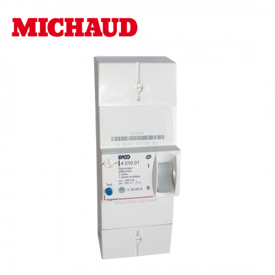 Disjoncteur bipolaire de branchement 60A instantané MICHAUD
