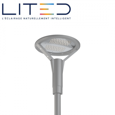 Tête de mât EOLE 450mm gris 3000K 40W symétrique ON/OFF LITED