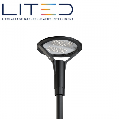 Tête de mât EOLE 450mm gris anthracite 3000K 60W symétrique ON/OFF LITED