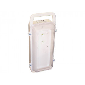 Bloc autonome portable d'intervention (BAPI) 100lm - 1h - SATI Vertiv