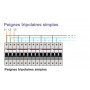 Peigne tripolaire 3P - 63/80A - 12 ou 60 modules - 10 ou 16mm² ABB