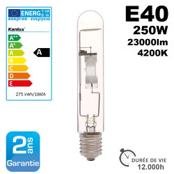 Ampoule à iodure métallique E40 MHE-250W/4200K