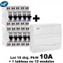 Lot de 10 disjoncteurs 10/16 ou 20A + 1 coffret 12 modules EUR'OHM