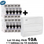 Lot de 10 disjoncteurs 3kA + 1 coffret électrique 12 modules