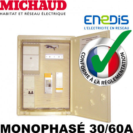 Coffret de chantier EDF Monophasé 30/60A - Michaud P489 Michaud
