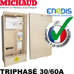 Coffret provisoire triphasé 30/60A Michaud P493 Michaud Coffret provisoire triphasé 30/60A Michaud P493 Michaud