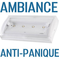 Bloc d'ambiance, Bloc anti panique AEES ou Kaufel à 87€ HT
