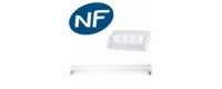 Luminaire sur source centralisée & blocs secours NF pour bâtiments ERP