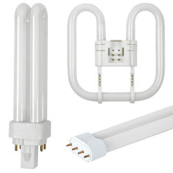 Ampoule fluocompacte et ampoule économique à 2,25€ HT